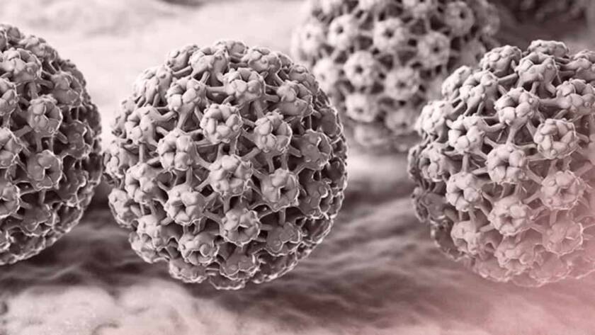 hpv
